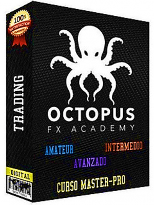 curso-octopus