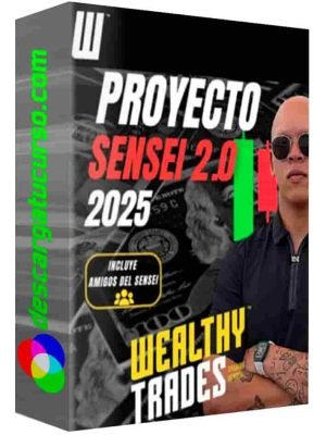 proyecto-sensei-2-0-amigos-del-sensei-grupo-vip-sebastian-rodriguez